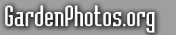 Logo-gardenphotos-org.gif