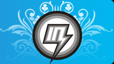 Logo-inis-cn.gif