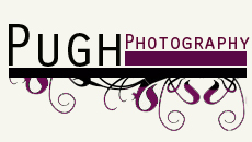 Logo-pughphotography-co-uk.jpg