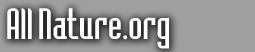 Logo-allnature-org.gif