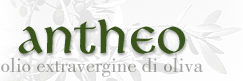 Logo-antheo-it.gif