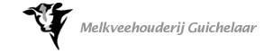 Logo-guichelaar-info.gif