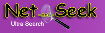Logo-netandseek-com.gif