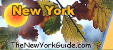 Logo-thenewyorkguide-com.jpg