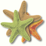 Logo-deoluakinyemi-com.jpg