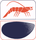 Logo-ruhlmann-sa-com.gif