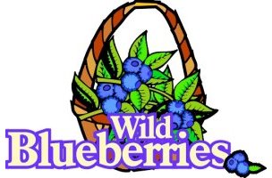 Logo-wildblueberries-net.jpg