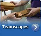 teamscape.jpg