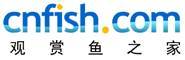 Logo-cnfish-com.gif