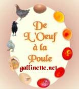 Logo-gallinette-net.jpg