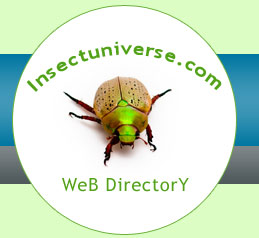 Logo-insectuniverse-com.jpg