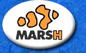 Logo-marshreef-com.jpg