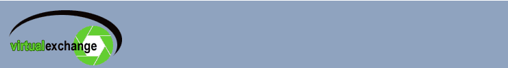 File:Logo-virtualexchange-com.gif