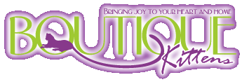 Logo-boutiquekittens-com.gif