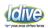 Logo-idive-co-il.gif