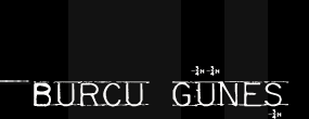 Logo-burcugunes-com.gif