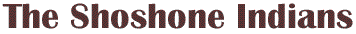 Logo-shoshoneindian-com.gif