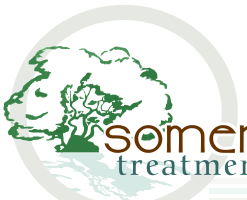Logo-somersettreatmentservices-org.gif
