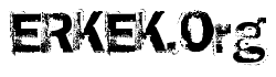 Logo-erkek-org.gif