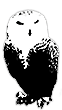 Logo-shabrova-com.gif