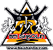 Logo-beishaolin-com.gif