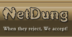 Logo-netdung-com.jpg