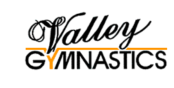 Logo-valleygymnastics-com.gif