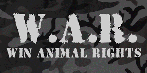 Logo-war-online-org.gif