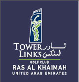 Logo-towerlinks-com.jpg