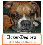 Logo-boxer-dog-org.jpg
