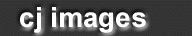 Logo-cjasper-com.gif