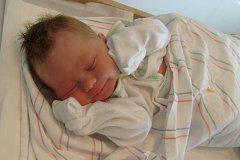 File:newborn2.jpg