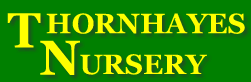 Logo-thornhayes-nursery-co-uk.gif