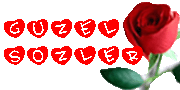 Logo-guzelsozler-web-tr.gif