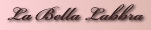 Logo-sinbi-dc-com.gif