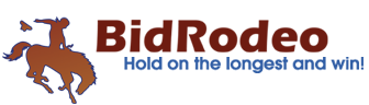 Logo-bidrodeo-com.png