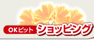 Logo-okpitshop-com.gif