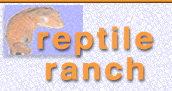 Logo-reptileranch-co-uk.gif