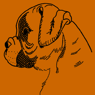 Logo-boxerwelpen-ch.gif