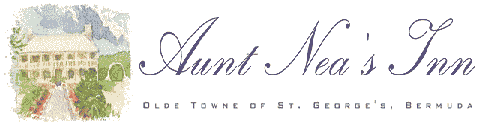 Logo-auntneas-com.gif