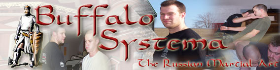 Logo-buffalosystema-com.jpg