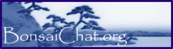 Logo-bonsaichat-org.gif