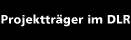 Logo-pt-dlr-de.gif