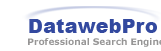 Logo-datawebpro-seo-hosting-com.gif