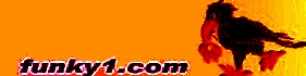 Logo-funky1-com.gif
