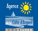 Logo-immo-landes-com.gif