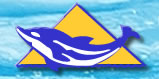Logo-pyramidpools-co-za.jpg