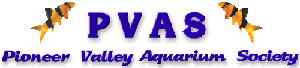 Logo-pvas-net.gif