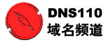 Logo-dns110-net.jpg