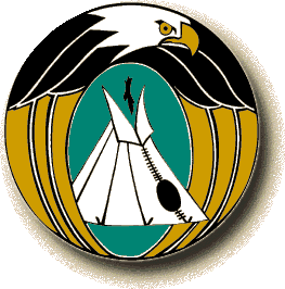 Logo-firstnationsins-com.gif